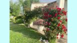 Villa Marmo di Carrara |  -  - 