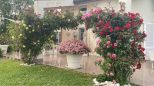 Villa Marmo di Carrara |  -  - 