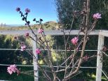 La Tenuta del Sogno di Gallura | Porto Cervo - Wohnungen und Villen - Costa Smeralda