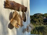 La Tenuta del Sogno di Gallura | Porto Cervo - Wohnungen und Villen - Costa Smeralda