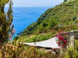 Rustico Paradiso |  -  - 
