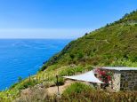 Rustico Paradiso |  -  - 