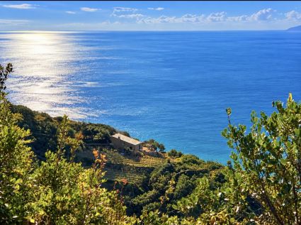 Rustico un Nido d' Amore in Paradiso |  -  - 