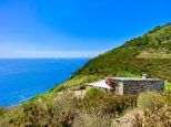 Rustico Paradiso |  -  - 