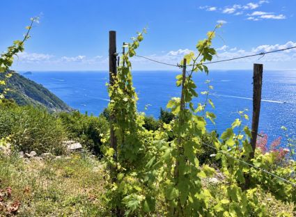 Rustico un Nido d' Amore in Paradiso |  -  - 