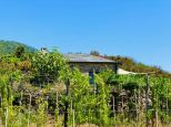 Rustico Paradiso |  -  - 