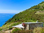 Rustico Paradiso |  -  - 