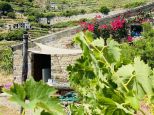 Rustico Paradiso |  -  - 
