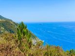 Rustico Paradiso |  -  - 