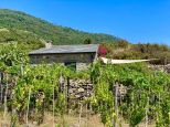 Rustico Paradiso |  -  - 