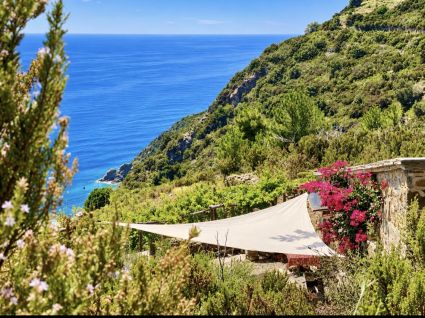 Rustico un Nido d' Amore in Paradiso |  -  - 