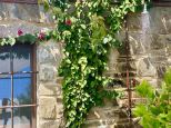 Rustico Paradiso |  -  - 