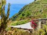 Rustico Paradiso |  -  - 