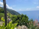 Rustico Paradiso |  -  - 