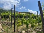 Rustico Paradiso |  -  - 
