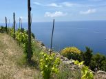 Rustico Paradiso |  -  - 