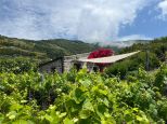 Rustico Paradiso |  -  - 