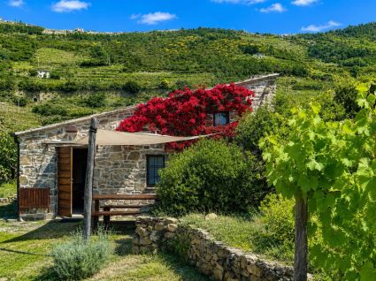 Rustico Paradiso |  -  - 