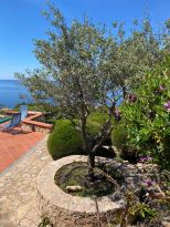 La Villa del Galeone |  -  - 