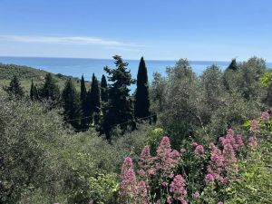 Villa Sorriso al Mare |  -  - 