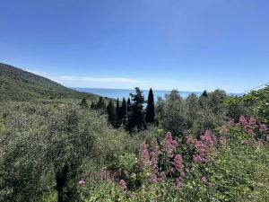Villa Sorriso al Mare |  -  - 