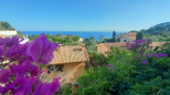 Villa Arenella |  -  - 