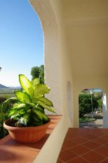Villa Domo Mea |  -  - 