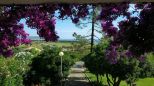 Villa Domo Mea |  -  - 