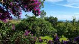 Villa Domo Mea |  -  - 
