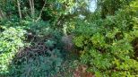 Villa Brunella |  -  - 