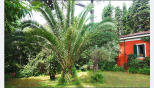 Villa Antico Garten di Avenza | Marina di Massa / Ronchi / Marina di Carrara - Wohnungen und Villen - Riviera Apuana