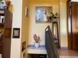 Villa Sarzana |  -  - 