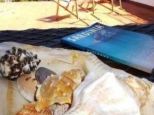 Villa Paradiso di Stintino |  -  - 