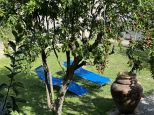 Villa Lucia |  -  - 