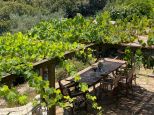 L' Antica Tenuta dei Frati |  -  - 