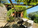 L' Antica Tenuta dei Frati |  -  - 