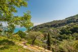 L' Antica Tenuta dei Frati |  -  - 