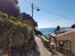 Antico Mulino di San Fruttuoso |  -  - 