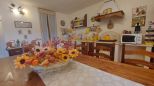 Il Fascino di Casa Patrizia |  -  - 