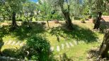 Appartamento Creuza de Ma' |  -  - 