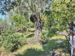 Appartamento Creuza de Ma' |  -  - 