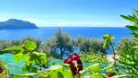 Appartamento Creuza de Ma' |  -  - 