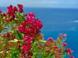 Antica Casetta del Pescatore |  -  - 