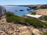 La Gemma dell' Isola |  -  - 