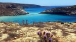 La Gemma dell' Isola |  -  - 