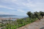 L' Antica Tenuta del Golfo |  -  - 