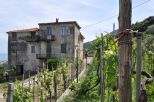 L' Antica Tenuta del Golfo |  -  - 