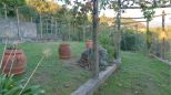 Villa al sole della Toscana  |  -  - 