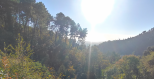 Il Villino nel Colle |  -  - 