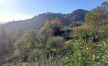 Il Villino nel Colle |  -  - 